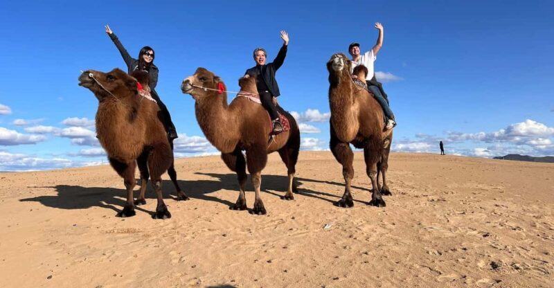 Camel Trails and Bird Tales: Discovering Elsen Tasarkhai - Authenticity and Local Culture