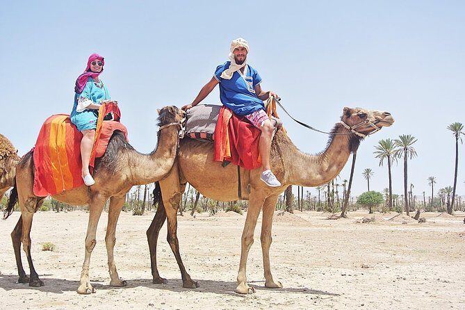 Camel Trek Around Marrakech Palmeraie - The Sum Up