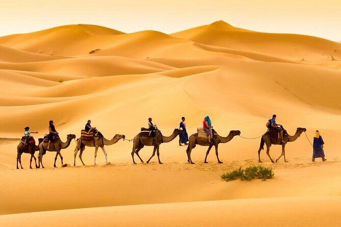 Camel trek with 1 Night in Luxury camp with Dinner+ Sundbording - Exploring the Merzouga Camel Trek in Depth