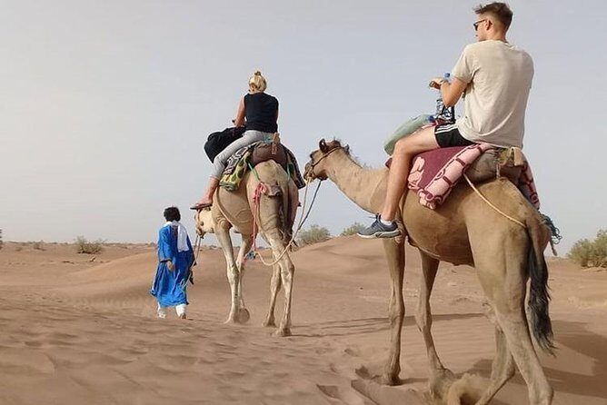 Camel Trekking Dubai with Morning Dune Bashing and Sand Boarding - Key Points