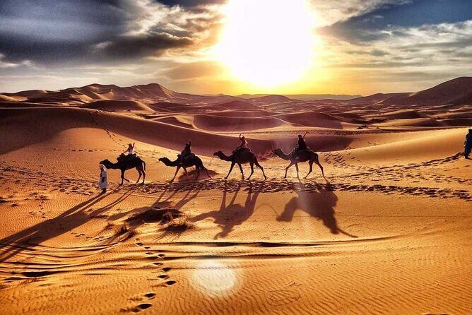 Camel Trekking Dubai with Morning Dune Bashing and Sand Boarding - The Itinerary: What to Expect
