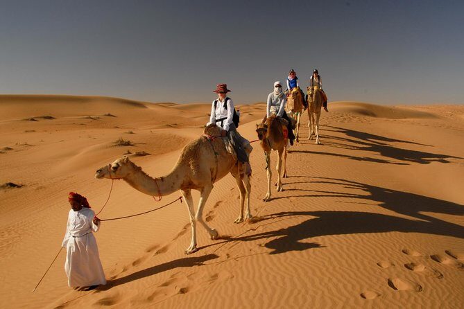 Camel Trekking Dubai with Morning Dune Bashing and Sand Boarding - Price and Value Analysis