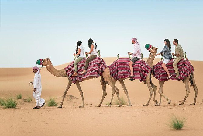 Camel Trekking Dubai with Morning Dune Bashing and Sand Boarding - Who Is This Tour Best For?