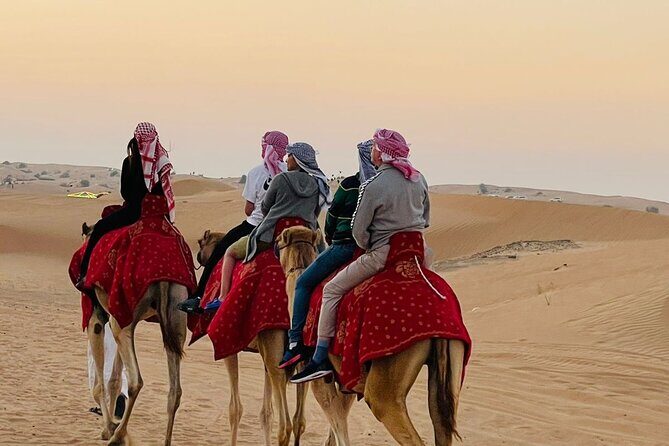 Camel Trekking in Dubai Desert with BBQ and Live Shows - Key Points
