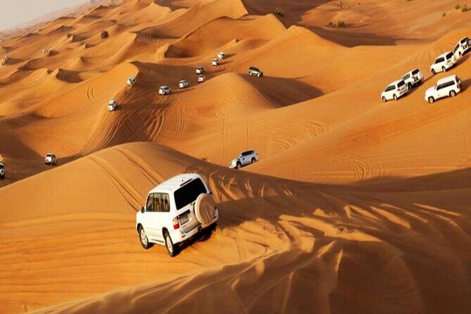 Camel Trekking in Dubai Desert with BBQ and Live Shows - Who Should Consider This Tour?