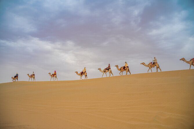 Camel Trekking in Open Red Dunes Desert - An In-Depth Look at the Camel Trekking Desert Tour