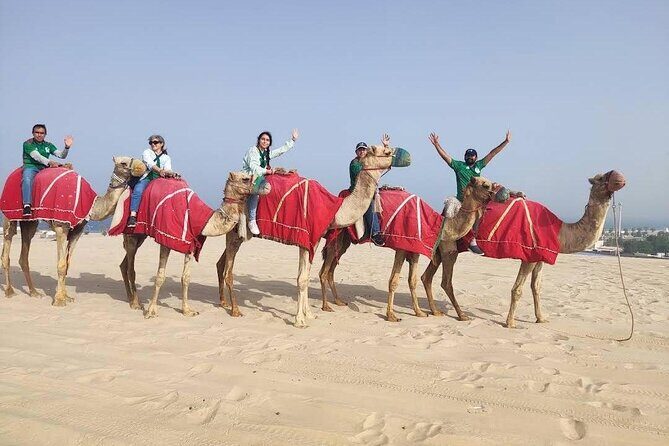 Camel trekking on the Dunes with Sunset - Who Will Love This Tour?
