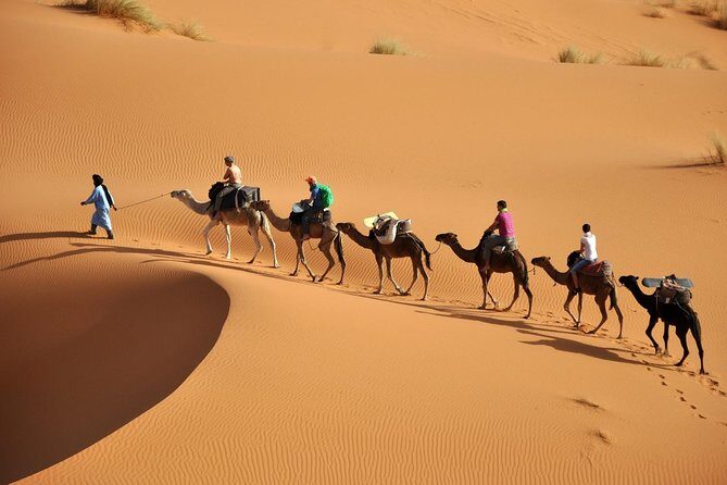 Camel Trekking & Overnight Luxury Camp - The Sum Up