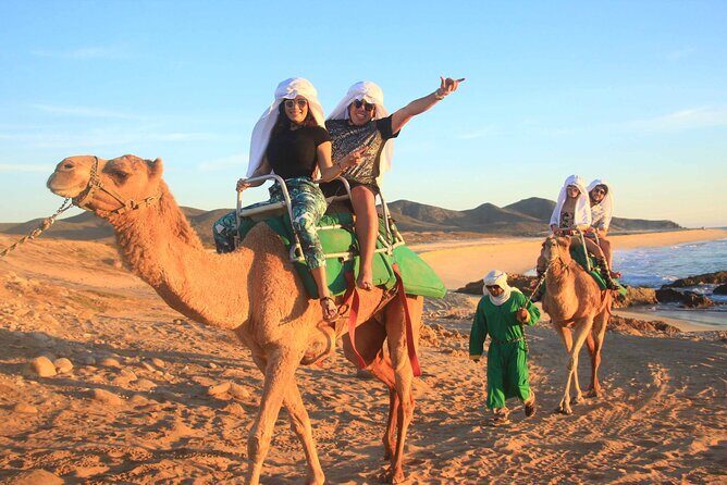 Camels, Razors & ATV´s Combo - The Value Proposition