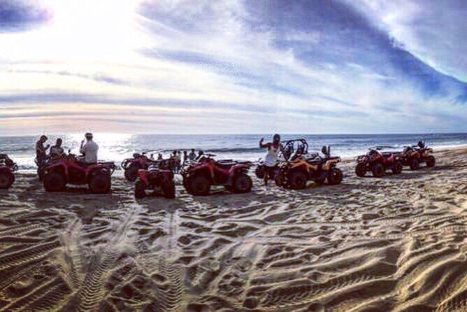 Camels, Razors & ATV´s Combo - FAQ: Your Practical Questions Answered