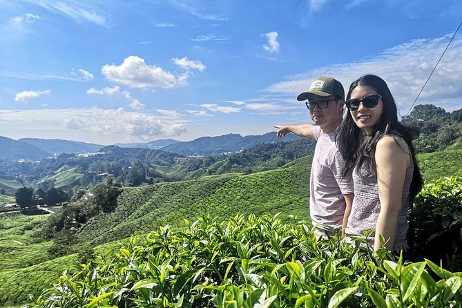 Cameron Highland Best Tour from Ipoh with Lunch ( Day Trip) - An In-Depth Look at the Cameron Highlands Tour