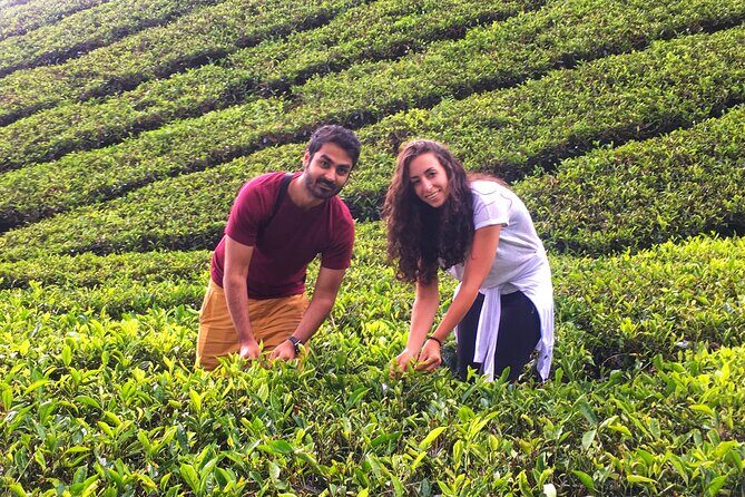 Cameron Highland Best Tour from Ipoh with Lunch ( Day Trip) - Final Thoughts