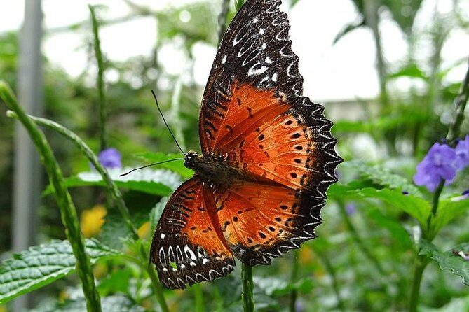 Cameron Highland Day Tour from Kuala Lumpur - Final Thoughts