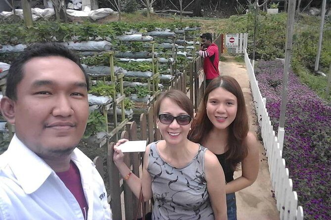 Cameron Highland Day Tour From Kuala Lumpur With Lunch Local food - Key Points