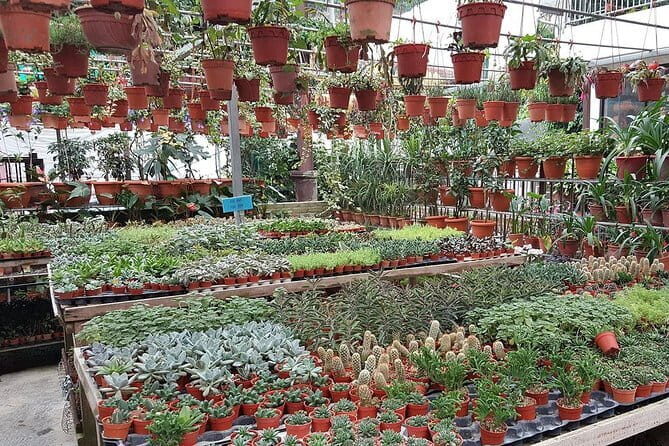 Cameron Highland Day-Trip from Kuala Lumpur - FAQ