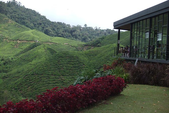Cameron Highlands Amazing Day Trip Tour with Local Lunch - Who Will Love This Tour?