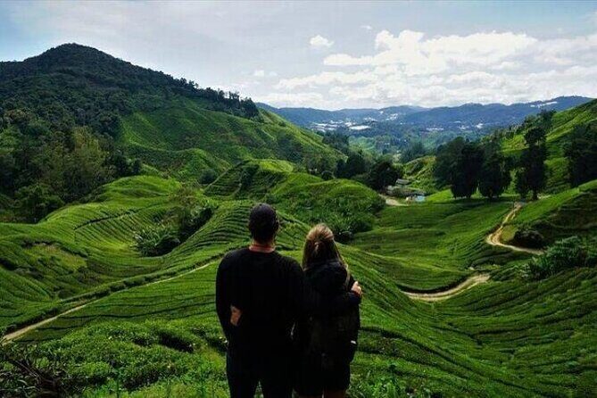 Cameron Highlands Day Tour from Ipoh with Mossy Forest - Final Thoughts