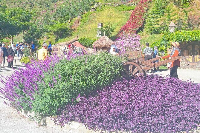 Cameron Highlands Day Tour from Ipoh with Mossy Forest - FAQ