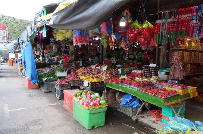 Cameron Highlands Day Tour From Kuala Lumpur 2025 - Final Word