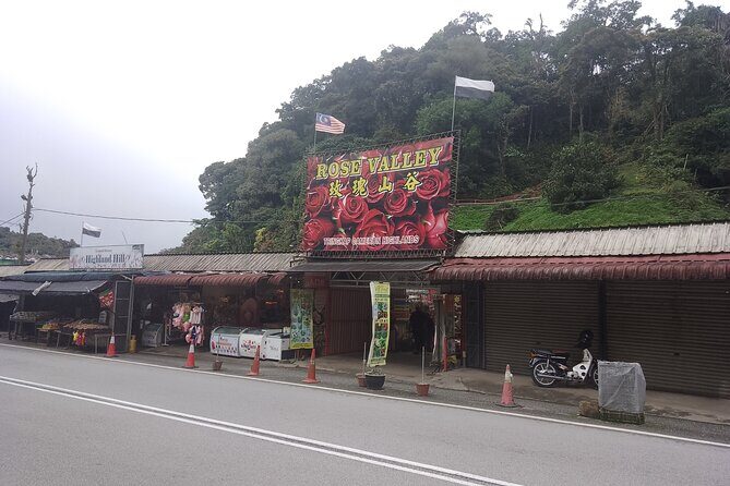 Cameron Highlands Day Trip - Authenticity and Value