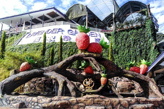 Cameron Highlands Day Trip From Kuala Lumpur - The Itinerary: An In-Depth Look
