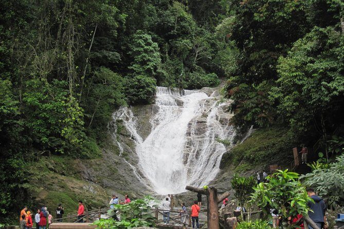 Cameron Highlands, Garden of Nature Full Day Private Guided Tour - The Practical Aspects: What to Expect