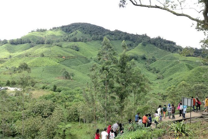 Cameron Highlands, Garden of Nature Full Day Private Guided Tour - Who Should Consider This Tour?
