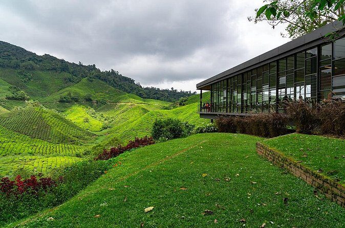 Cameron Highlands One Day Trip from Kuala Lumpur Privately Organised - Who Should Consider This Tour?