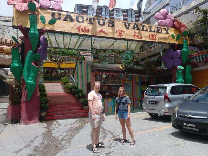 Cameron Highlands Private Day Trip - An In-Depth Look at the Cameron Highlands Private Day Trip