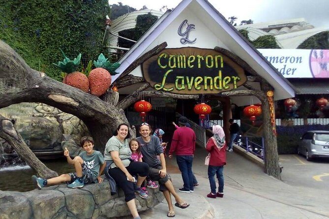 Cameron Highlands Sunrise Discovery - Who Should Skip This Tour?