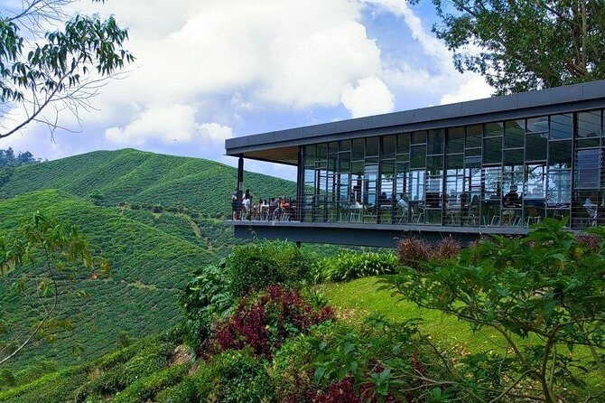 Cameron Highlands Tour from Kuala Lumpur - An In-Depth Look at the Cameron Highlands Tour