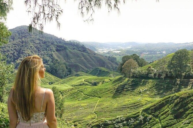 Cameron Highlands Tour from Kuala Lumpur - FAQ