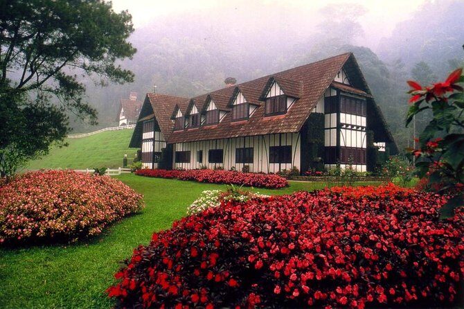 Cameron Highlands Tour on Private Basis - The Food and Overall Experience