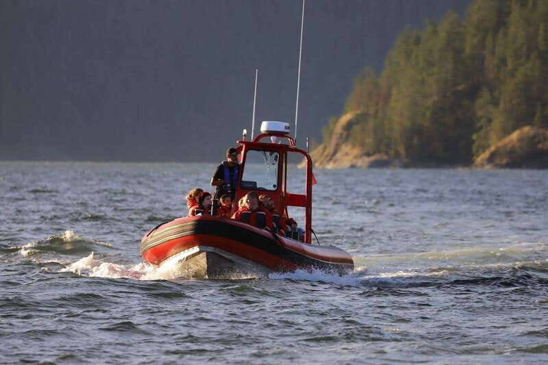 Campbell River: 6-Hour Whale Watching Boat Tour - An In-Depth Look at the Whale Watching Experience