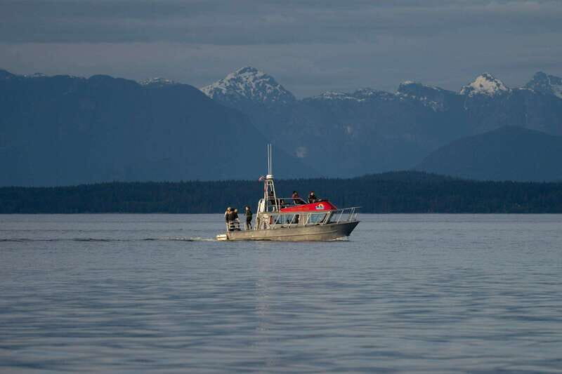 Campbell River: 6-Hour Whale Watching Boat Tour - Summing Up: Who Is This Tour For?