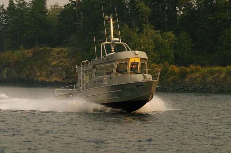 Campbell River: 7-Hour Big Animal Encounter Boat Tour - The Practical Details
