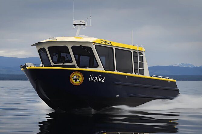 Campbell River, BC: Full Day Grizzly Bear Tour in Toba Inlet - Who Should Consider This Tour?