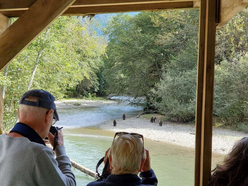 Campbell River: Deluxe Grizzlies & Indigenous Culture tour - Final Summary