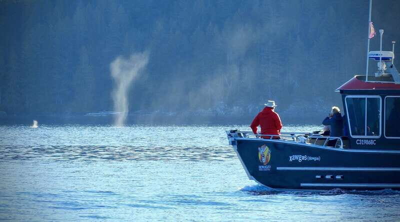 Campbell River: Deluxe Grizzlies & Indigenous Culture tour - FAQ