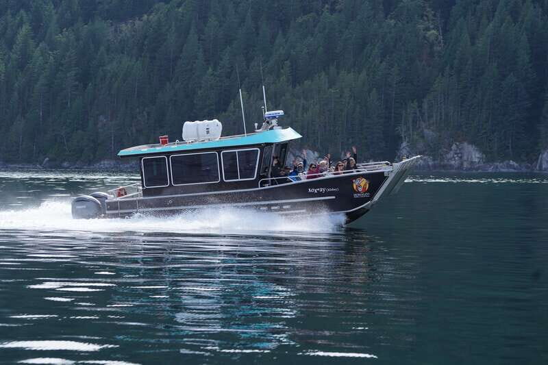 Campbell River: Grizzly Bear-Watching Tour with Lunch - Deep Dive into the Details