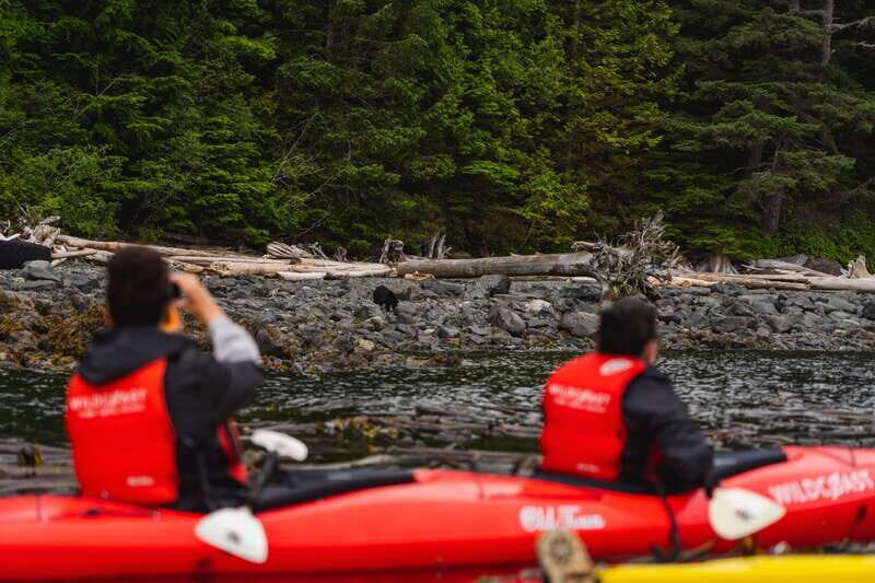 Campbell River: Kayaking and Whale Watching Tour - What You Can Expect from the Tour