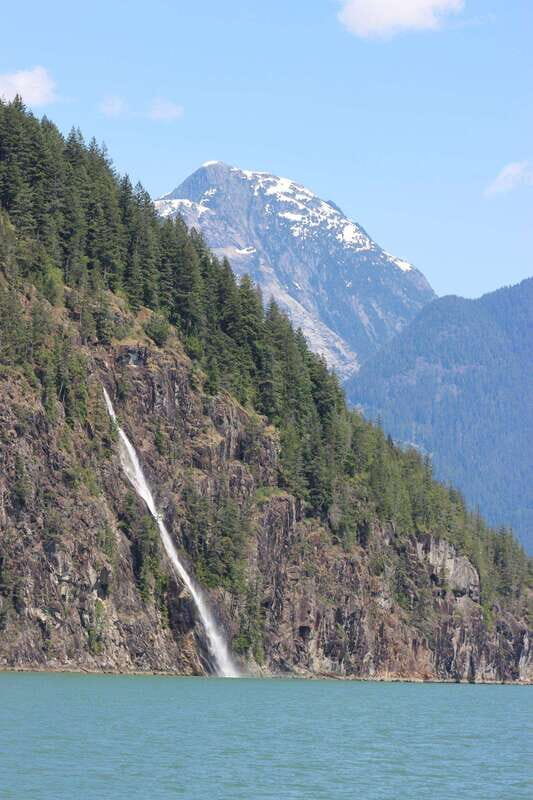 Campbell River: Spring Bear Watching & Waterfalls Boat Tour - An In-Depth Look at the Experience