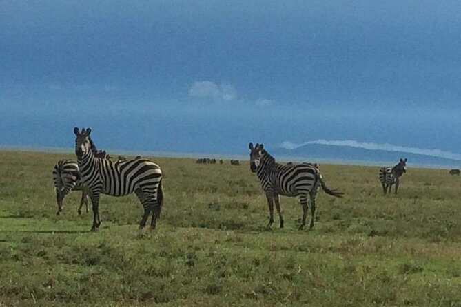Camping to Serengeti & Ngorongoro Premium Parks - Final Thoughts: Is This Safari for You?