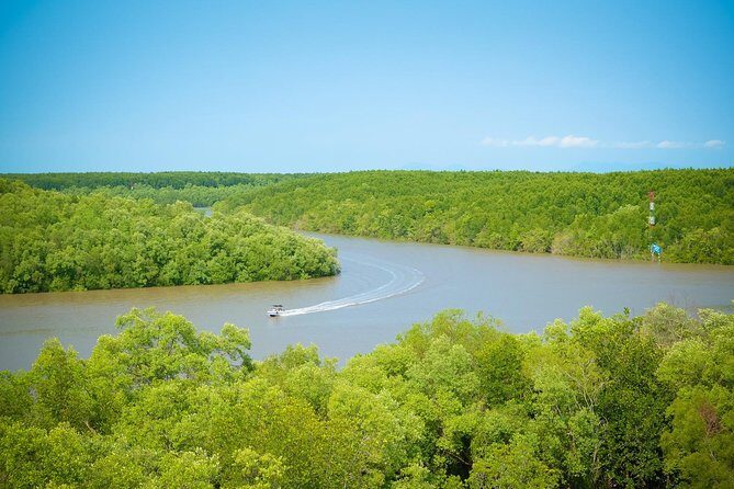 Can Gio mangrove eco tour 1 day private - The Value of This Experience