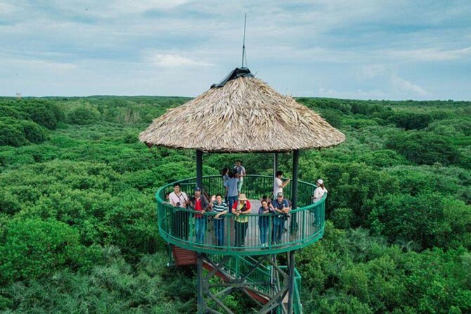 Can Gio mangrove eco tour 1 day private - The Sum Up