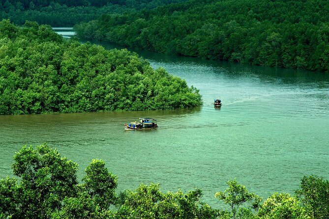 Can Gio Mangrove Forest 1 day tour - An In-Depth Look at the Tour Itinerary