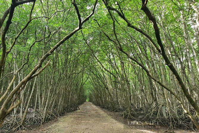 Can Gio Mangrove Forest 1 day tour - Who Is This Tour Best For?