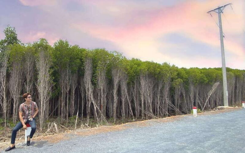 Can Gio Mangrove, Thanh An Island, Vung Tau City 2 Days Tour - An Overview of the Tour Experience