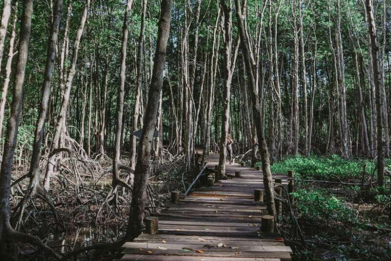 Can Gio Mangrove, Thanh An Island, Vung Tau City 2 Days Tour - Highlights and Challenges