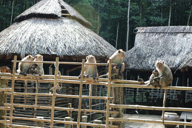 Can Gio - Vam Sat Mangrove Tour Forest - Frequently Asked Questions